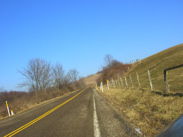 View Down Seabright