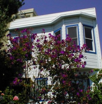 A Very New Englandish House on Telegraph Hill