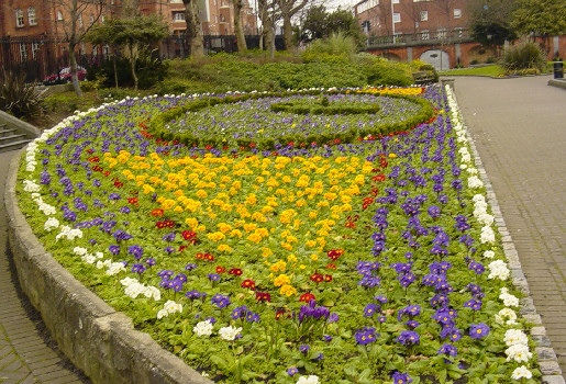 Garden Outside of Saint Patrick's